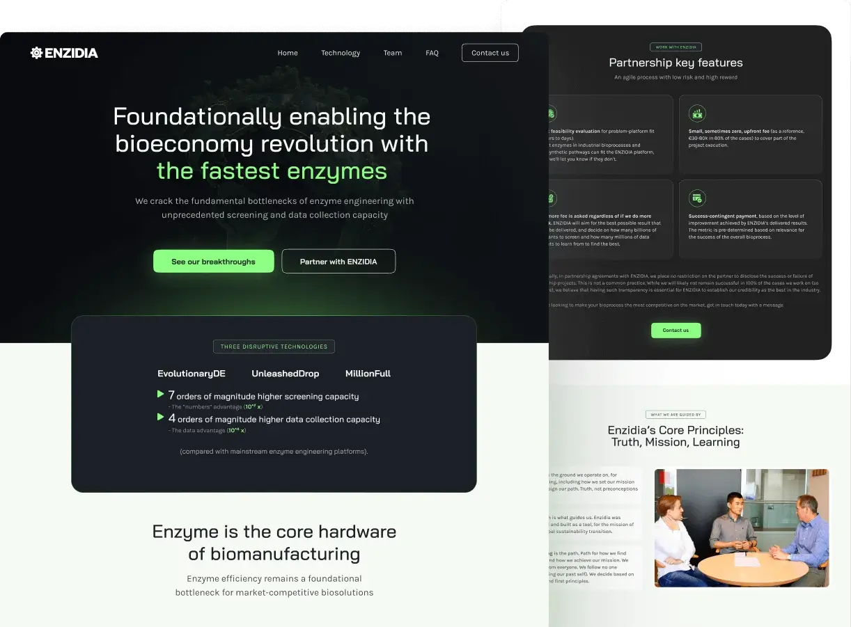 Thumbnail image for Enzidia, a company that I've been working with, building their Website.